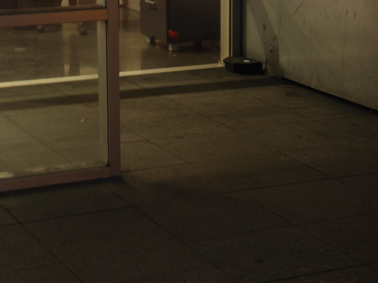 2018-01-13 1 Uhr - Sabiha Gökçen Istanbul Flughafen (Im Bus) (Audio, Foto) 